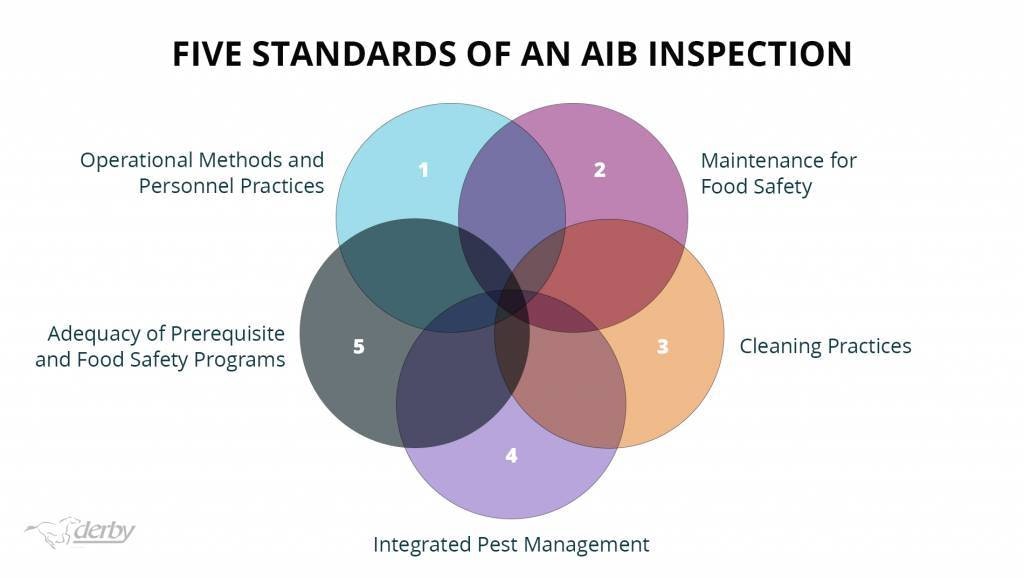 Aib 5 Standards 1024x578